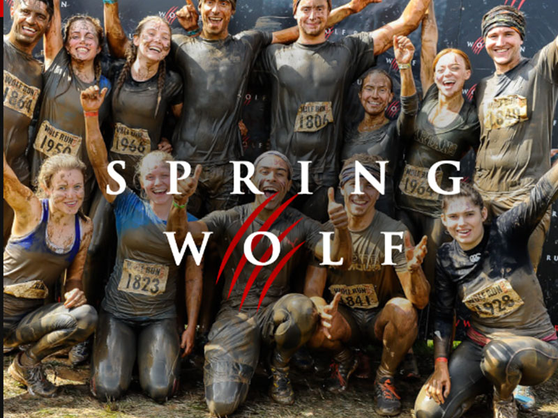 spring-wolf-run